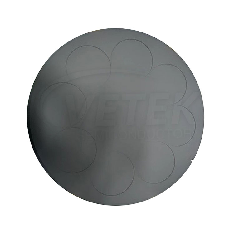 SiC Coated Pancake Susceptor for LPE PE3061S 6'' Wafere